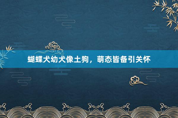 蝴蝶犬幼犬像土狗，萌态皆备引关怀