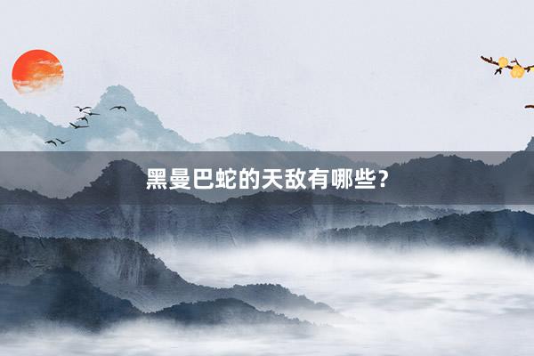 黑曼巴蛇的天敌有哪些？