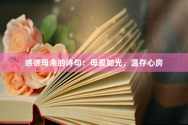 感德母亲的诗句：母爱如光，温存心房